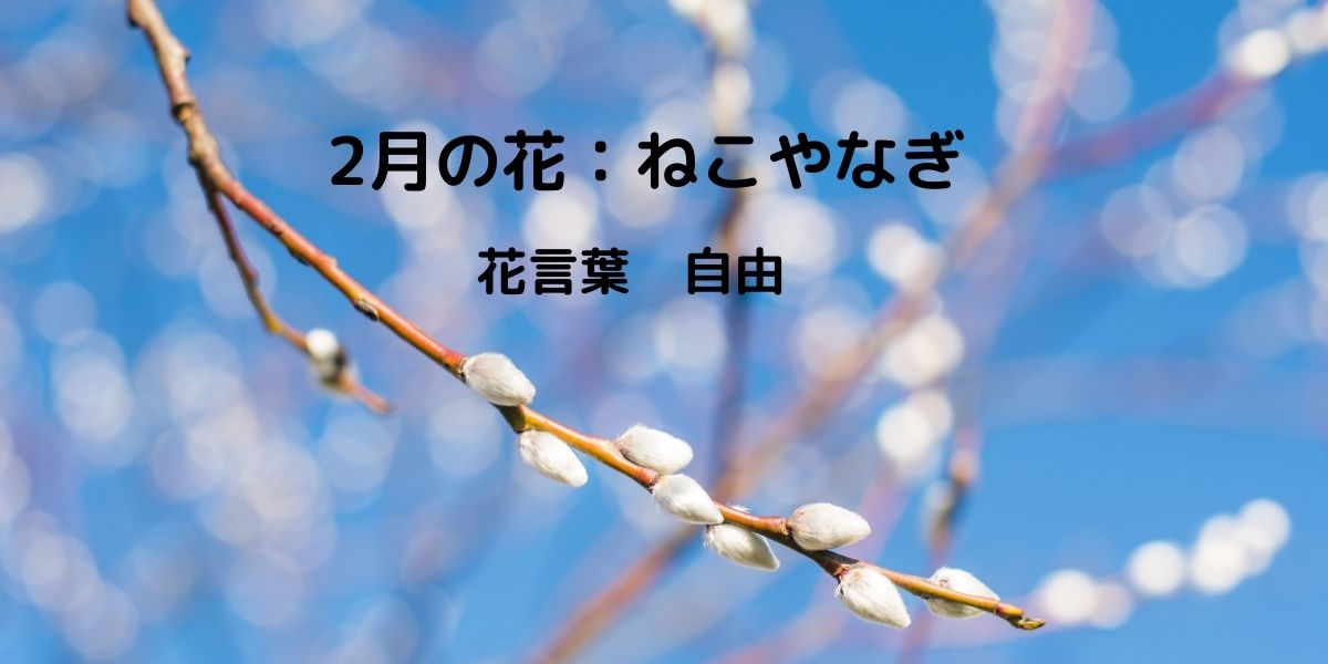 2月の季語を解説！俳句と花で彩る心温まる挨拶例文を紹介！