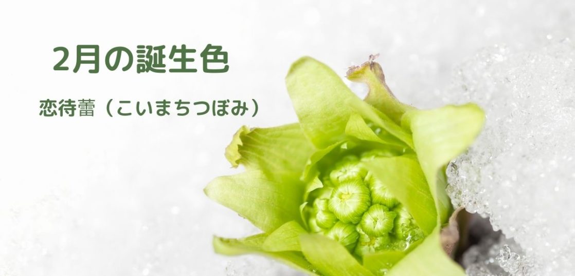 相手が喜ぶ誕生日のメッセージを贈ろう 2月の誕生色を使ったお祝いの文例を紹介 はがきを手作り お礼状の書き方と感動を与える四季折々の言葉