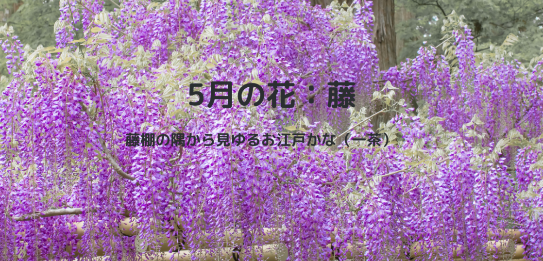 季節感のあるはがきの書き方とコツ 5月の花と花言葉の文例を紹介 はがきを手作り お礼状の書き方と感動を与える四季折々の言葉