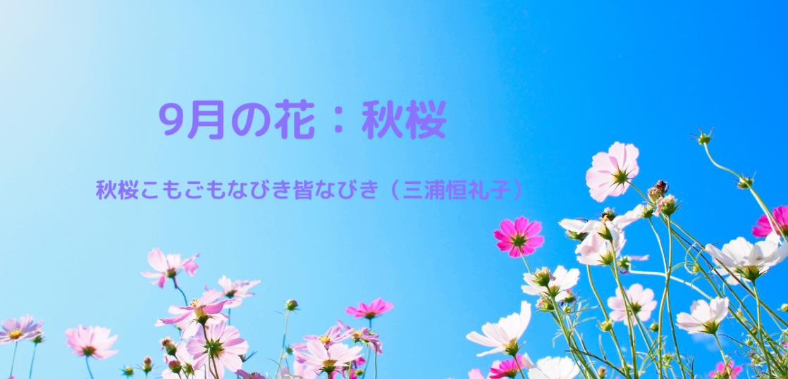 季節感のあるはがきの書き方とコツ 9月の花と花言葉の文例を紹介 はがきを手作り お礼状の書き方と感動を与える四季折々の言葉