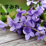 親しい人に出すはがきの挨拶と結び！4月の花と俳句を使った例文を紹介！
