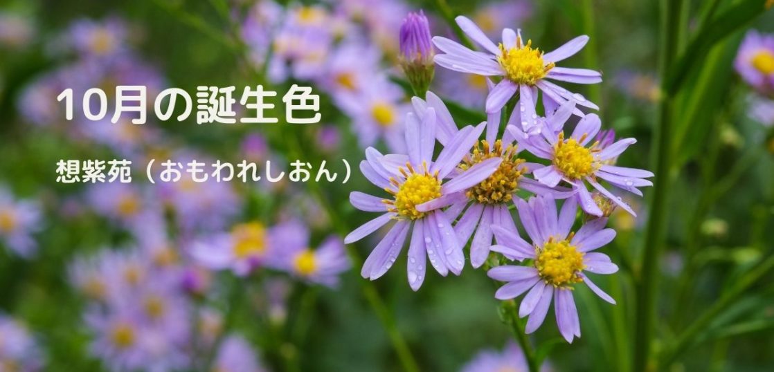 相手が喜ぶ誕生日のメッセージを贈ろう 10月の誕生色を使ったお祝いの文例を紹介 はがきを手作り お礼状の書き方と感動を与える四季折々の言葉