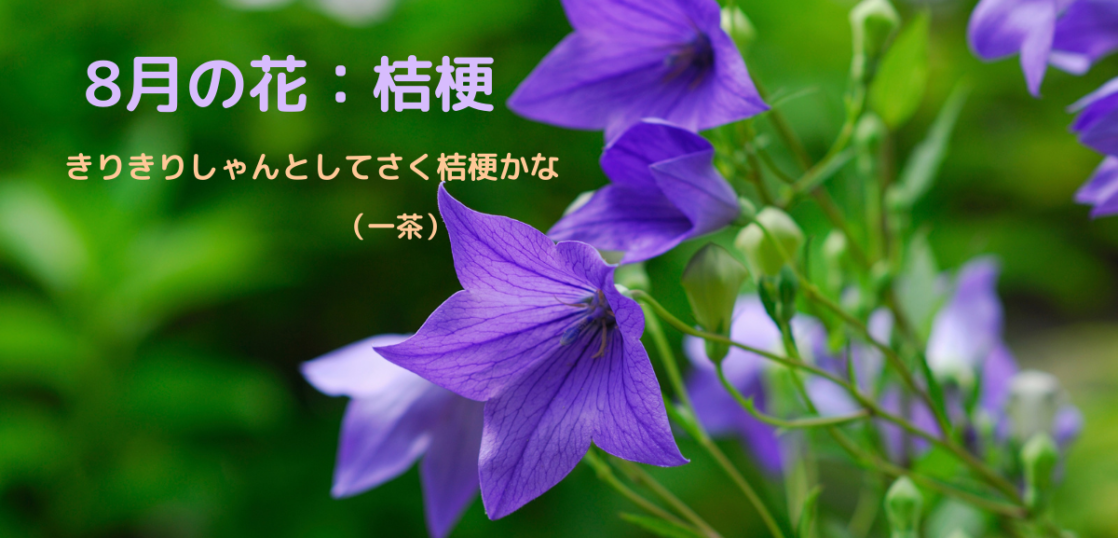 季節感のあるはがきの書き方とコツ 8月の花と花言葉の文例を紹介 はがきを手作り お礼状の書き方と感動を与える四季折々の言葉