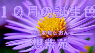 10月の誕生色（想紫苑）！花と共に綴る季節の挨拶