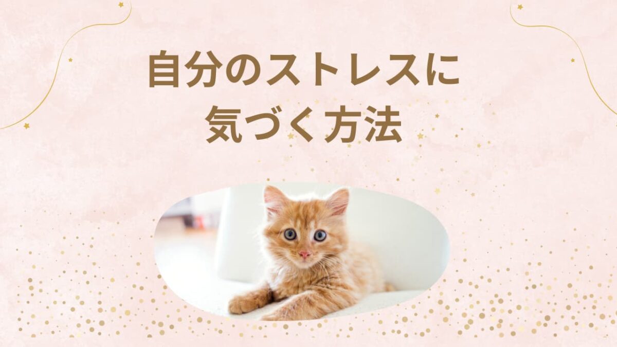 【簡単セルフ診断】自分のストレスに気づく方法｜心と体の限界サインを見逃さないチェックリスト